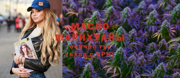 мет Алексин