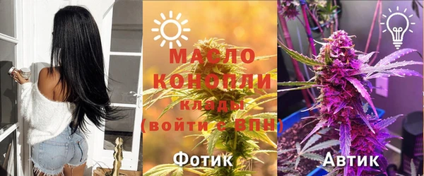 мет Алексин