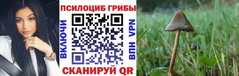 mega сайт  купить  цена  Боровичи  мориарти наркотические препараты  Псилоцибиновые грибы MAGIC MUSHROOMS 